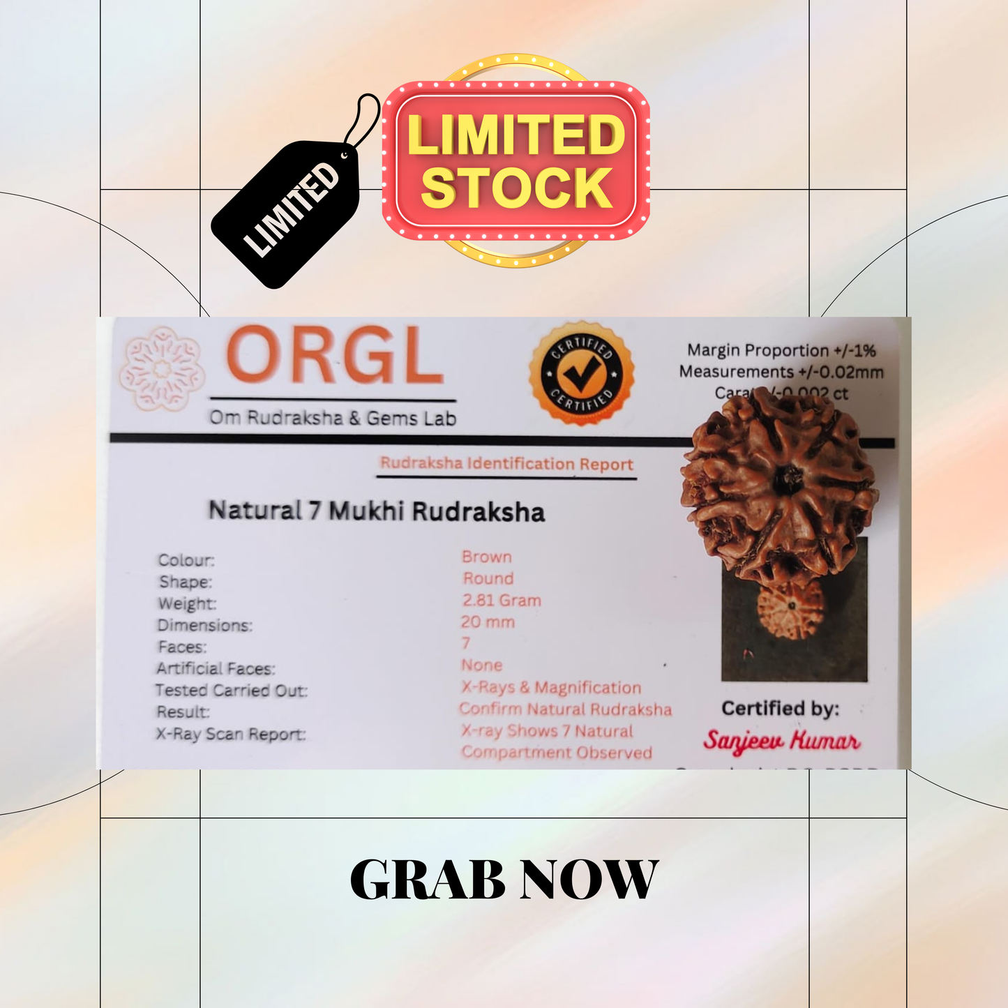 7 Mukhi Original Rudraksha