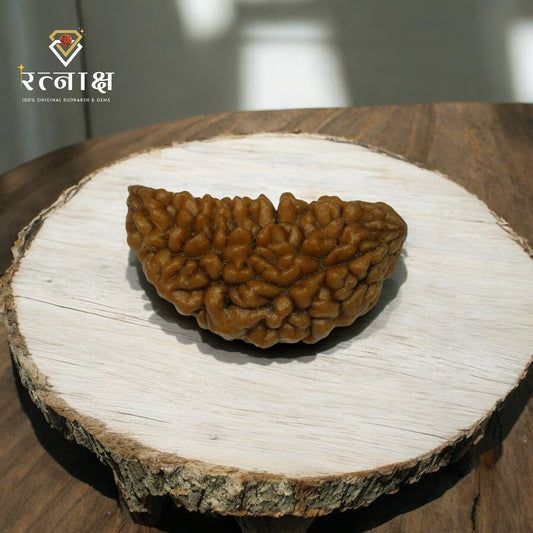 1 Mukhi Original Rudraksh